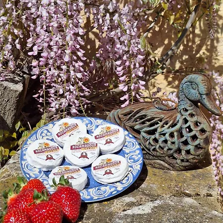 Le Logis De Quer'breizh * Dégagnac