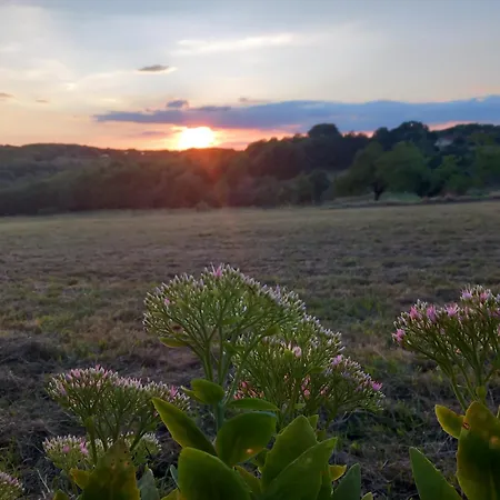 Feriehus Le Logis De Quer'breizh *